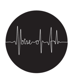 the Noise of Art logo, which is dark circle with a sound level line threaded through the middle, spelling noise of art